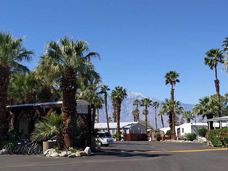 Camper submitted image from Sam's Family Spa RV Resort & Motel - 3