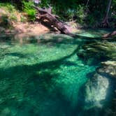 Review photo of Suwannee River Rendezvous Resort by Emily A., April 25, 2020