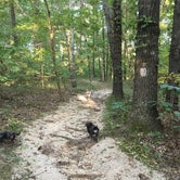 Review photo of Lake Frierson State Park Campground by Shelly S., September 17, 2017