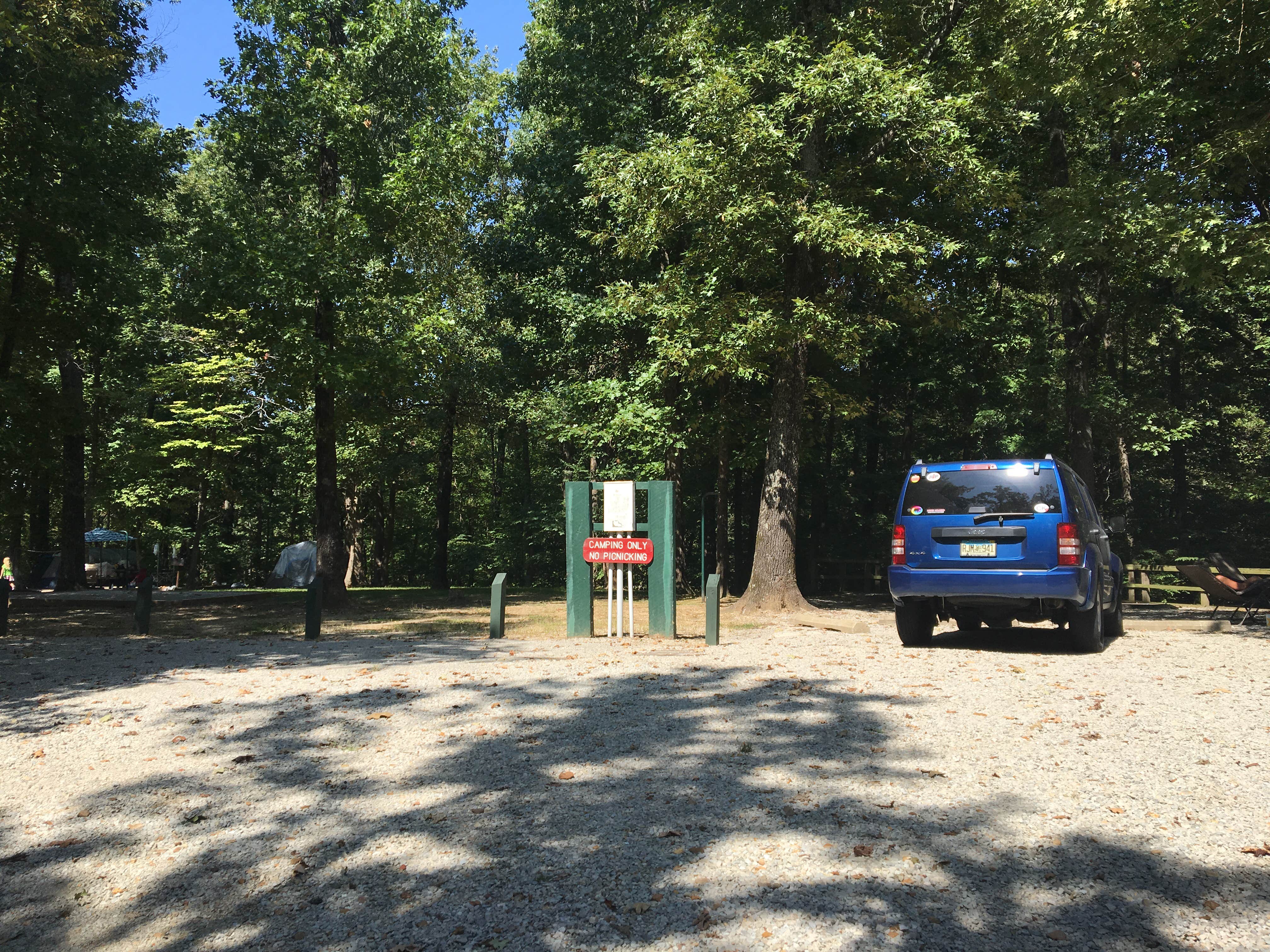 Camper submitted image from Lake Frierson State Park Campground - 3