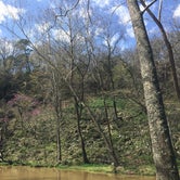 Review photo of Natural Falls State Park Campground by Richard , April 25, 2020