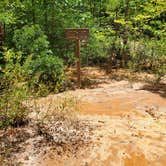 Review photo of Providence Canyon State Park Campground by Shea M., April 26, 2020