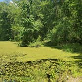 Review photo of Florence Marina State Park Campground by Shea M., April 26, 2020