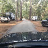 Review photo of Skidaway Island State Park Campground by Shelly S., September 17, 2017