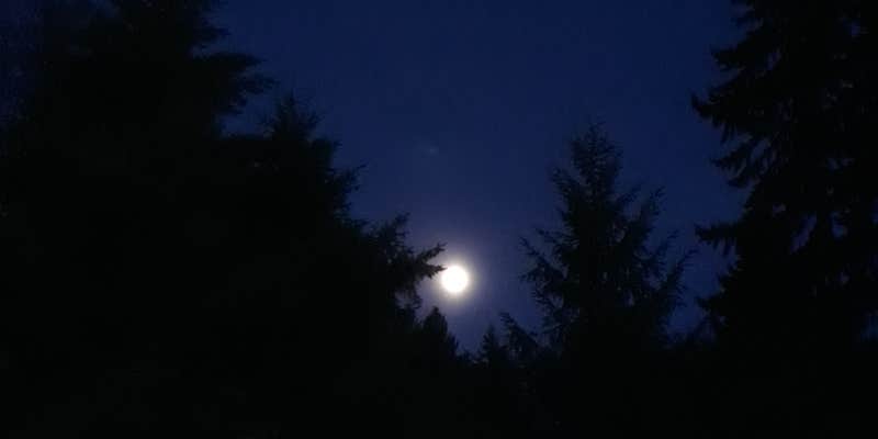 Camper submitted image from Kingfisher Campground - CLOSED INDEFINITELY