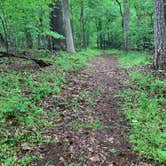 Review photo of Staunton River State Park Campground by Chaz M., April 26, 2020