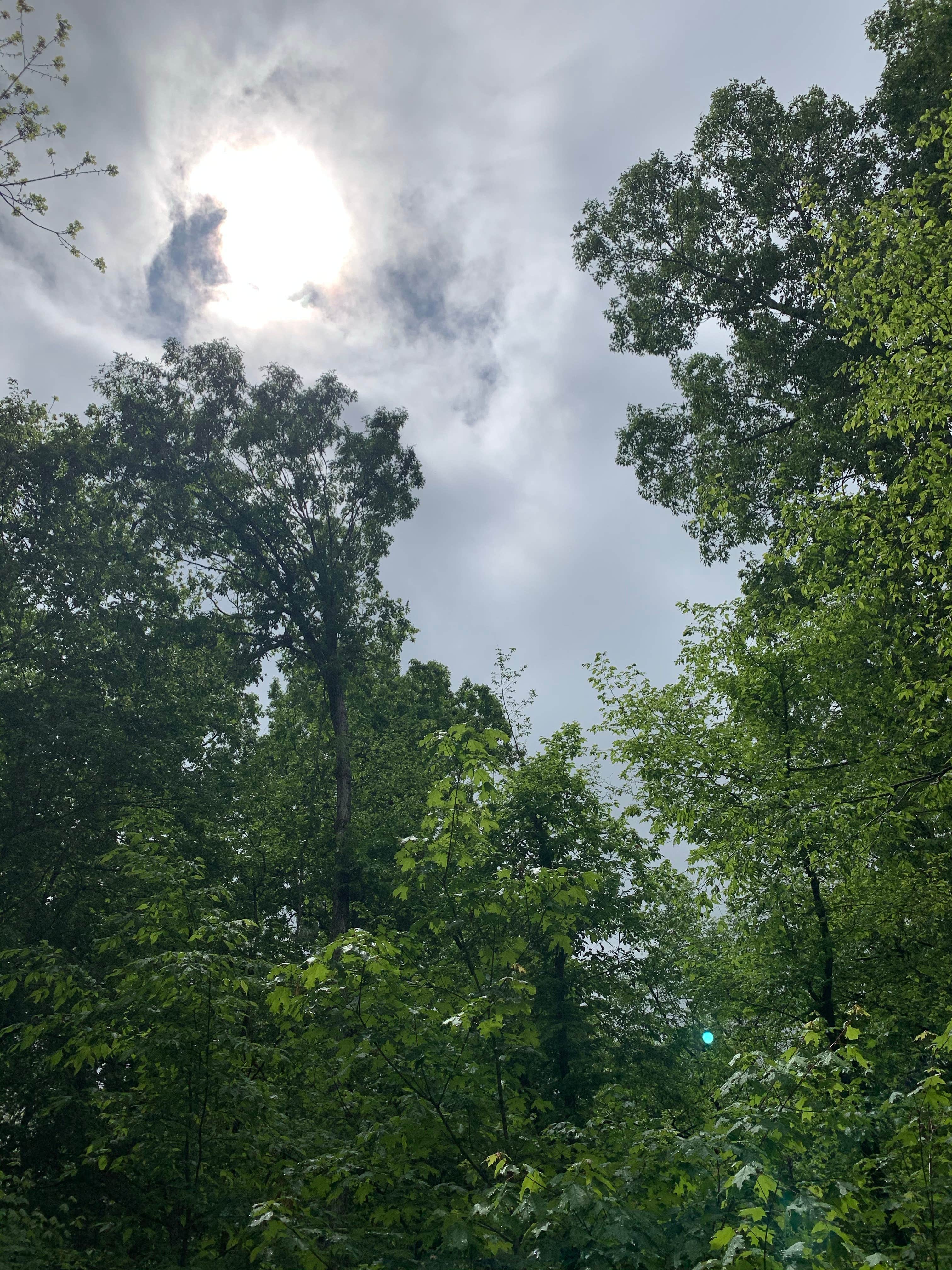 Camper-submitted photo at Staunton River State Park Campground near Altavista, VA