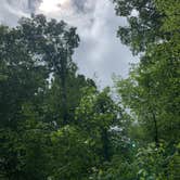 Review photo of Staunton River State Park Campground by Chaz M., April 26, 2020