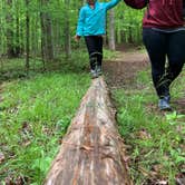 Review photo of Staunton River State Park Campground by Chaz M., April 26, 2020