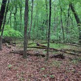 Review photo of Staunton River State Park Campground by Chaz M., April 26, 2020