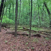 Review photo of Staunton River State Park Campgrounds  by Chaz M., April 26, 2020