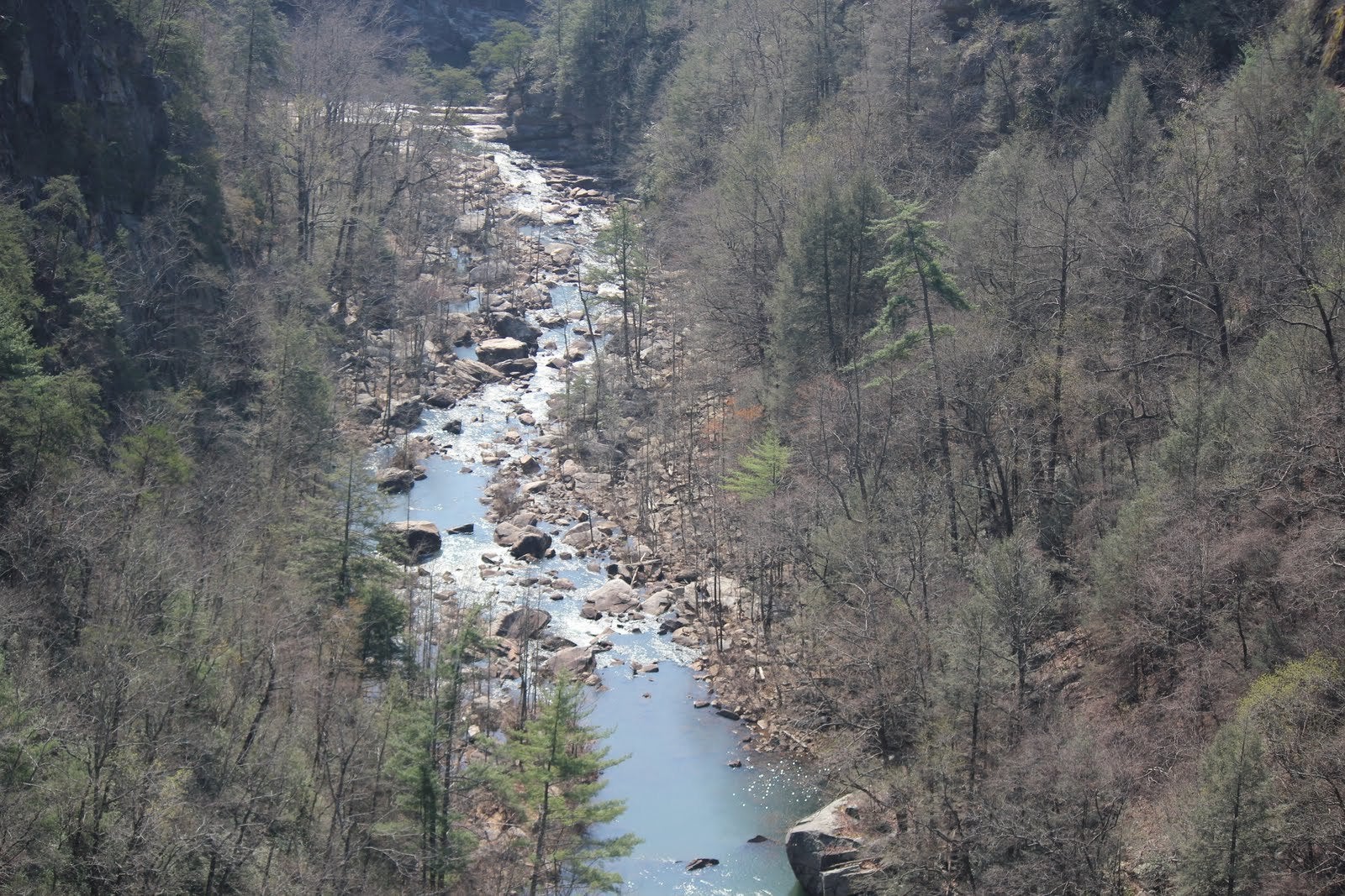Camper submitted image from Tallulah Gorge State Park - 3