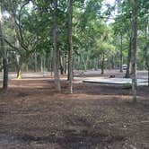 Review photo of Skidaway Island State Park Campground by Shelly S., September 17, 2017
