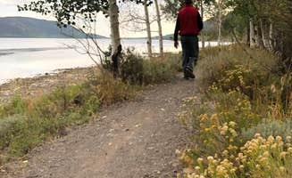 Alicia F.'s photo of camping with pets at Bowery Creek near Cove, UT