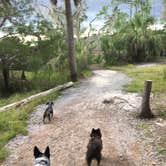 Review photo of Skidaway Island State Park Campground by Shelly S., September 17, 2017