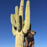Review photo of Picacho Peak State Park Campground by Alicia F., April 27, 2020