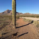 Review photo of Picacho Peak State Park Campground by Alicia F., April 27, 2020