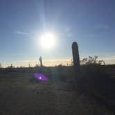 Review photo of Picacho Peak State Park Campground by Alicia F., April 27, 2020
