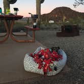 Review photo of Picacho Peak State Park Campground by Alicia F., April 27, 2020