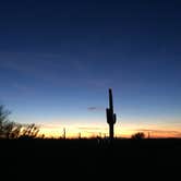 Review photo of Picacho Peak State Park Campground by Alicia F., April 27, 2020