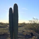 Review photo of Picacho Peak State Park Campground by Alicia F., April 27, 2020