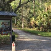 Review photo of Skidaway Island State Park Campground by Shelly S., September 17, 2017