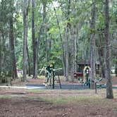 Review photo of Skidaway Island State Park Campground by Shelly S., September 17, 2017