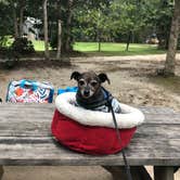 Review photo of Marthas Vineyard Family Campground by Alicia F., April 27, 2020