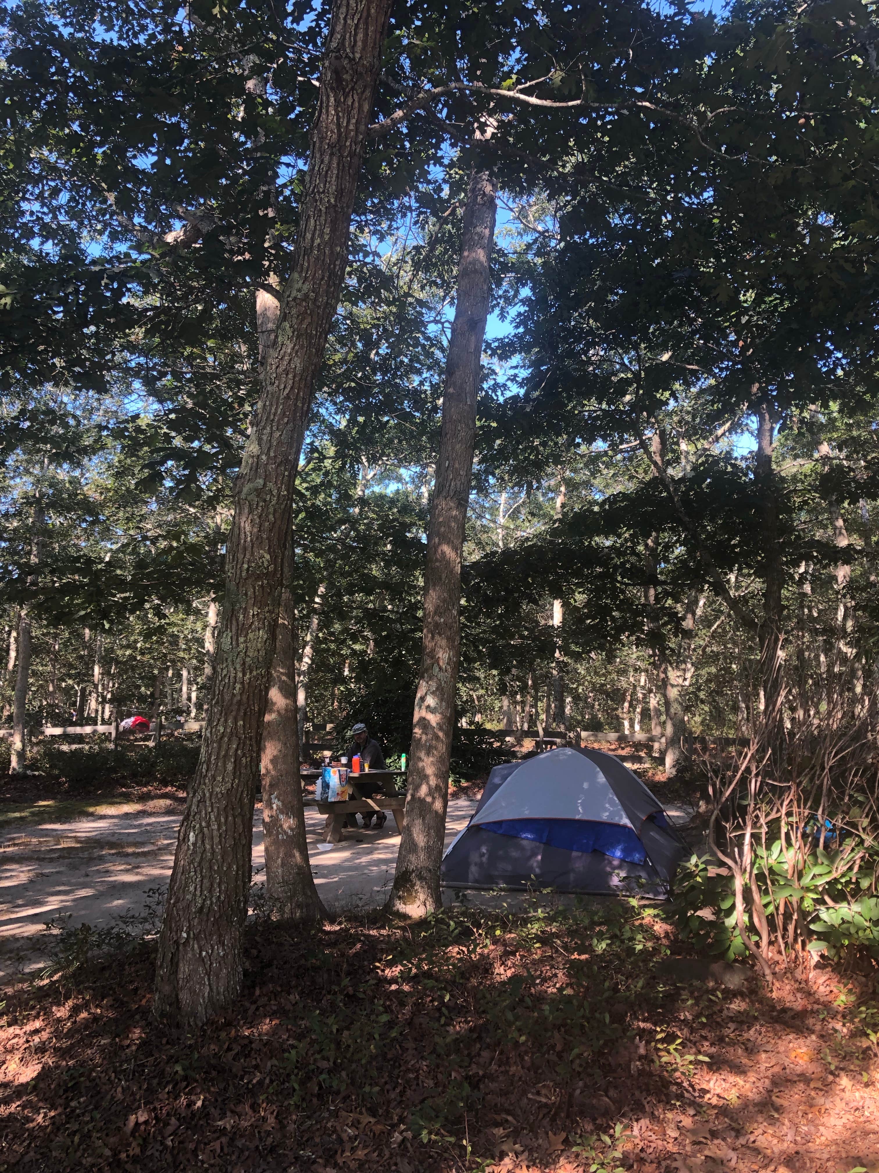 Alicia F.'s photo at Marthas Vineyard Family Campground near Oak Bluffs, MA