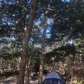 Review photo of Marthas Vineyard Family Campground by Alicia F., April 27, 2020