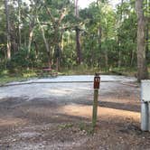 Review photo of Skidaway Island State Park Campground by Shelly S., September 17, 2017