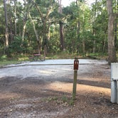 Review photo of Skidaway Island State Park by Shelly S., September 17, 2017