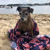 Review photo of Marthas Vineyard Family Campground by Alicia F., April 27, 2020