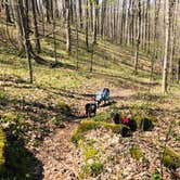 Review photo of First Creek Dispersed Camping — Mammoth Cave National Park by Shelly S., April 28, 2020