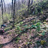 Review photo of First Creek Dispersed Camping — Mammoth Cave National Park by Shelly S., April 28, 2020