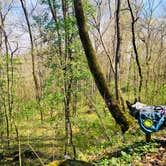 Review photo of First Creek Dispersed Camping — Mammoth Cave National Park by Shelly S., April 28, 2020