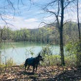 Review photo of First Creek Dispersed Camping — Mammoth Cave National Park by Shelly S., April 28, 2020