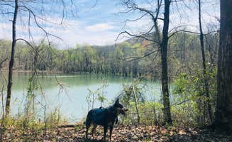 Shelly S.'s photo of camping with pets at First Creek Dispersed Camping — Mammoth Cave National Park near Mammoth Cave, KY