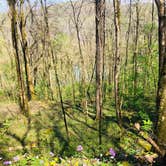 Review photo of First Creek Dispersed Camping — Mammoth Cave National Park by Shelly S., April 28, 2020