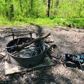 Review photo of First Creek Dispersed Camping — Mammoth Cave National Park by Shelly S., April 28, 2020