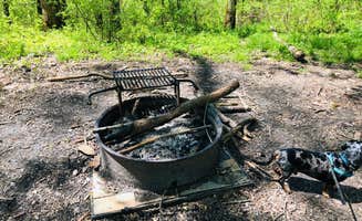 Shelly S.'s photo of camping with pets at First Creek Dispersed Camping — Mammoth Cave National Park near Mammoth Cave, KY