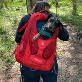 Review photo of First Creek Dispersed Camping — Mammoth Cave National Park by Shelly S., April 28, 2020