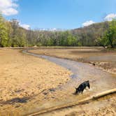 Review photo of First Creek Dispersed Camping — Mammoth Cave National Park by Shelly S., April 28, 2020