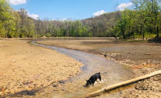 Shelly S.'s photo of camping with pets at First Creek Dispersed Camping — Mammoth Cave National Park near Leitchfield, KY