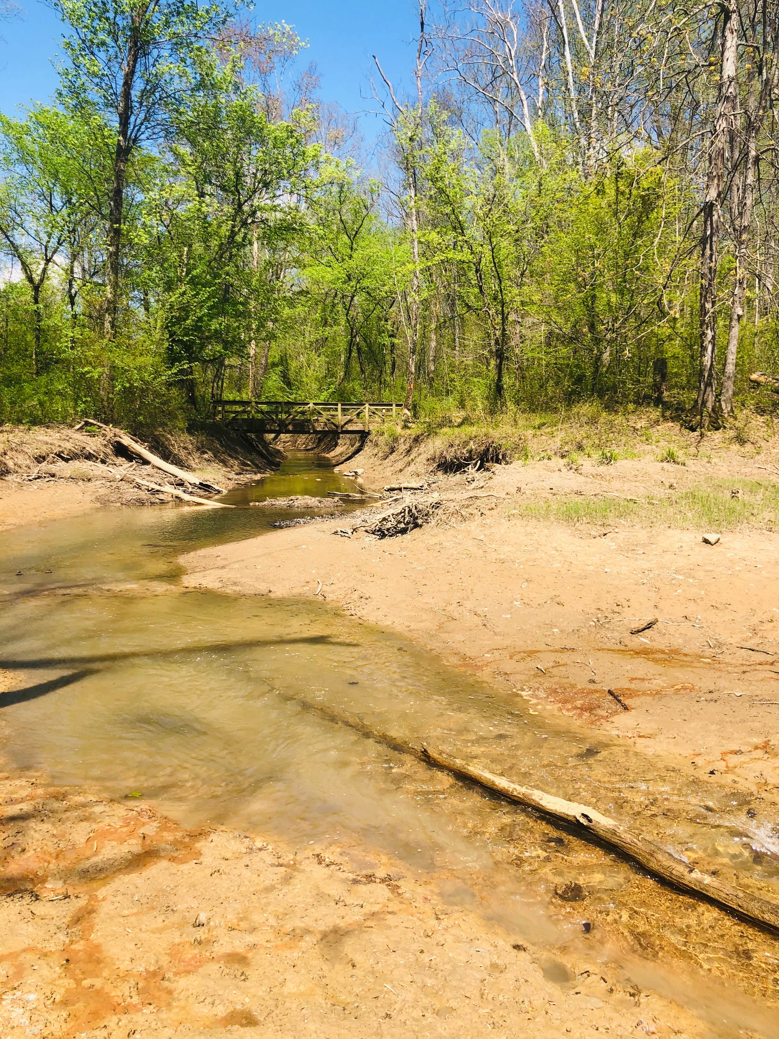 Camper-submitted photo at First Creek Dispersed Camping — Mammoth Cave National Park near Union Star, KY