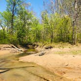 Review photo of First Creek Dispersed Camping — Mammoth Cave National Park by Shelly S., April 28, 2020