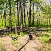 Review photo of First Creek Dispersed Camping — Mammoth Cave National Park by Shelly S., April 28, 2020