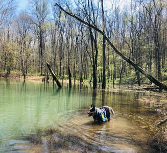 Camper-submitted photo from First Creek Dispersed Camping — Mammoth Cave National Park