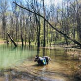 Review photo of First Creek Dispersed Camping — Mammoth Cave National Park by Shelly S., April 28, 2020