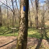 Review photo of First Creek Dispersed Camping — Mammoth Cave National Park by Shelly S., April 28, 2020